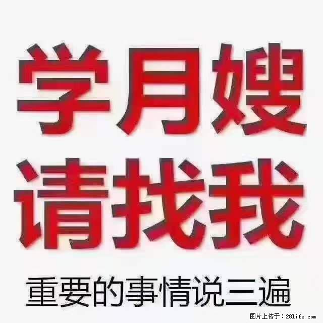 为什么要学习月嫂，育婴师？ - 其他广告 - 广告专区 - 厦门分类信息 - 厦门28生活网 xm.28life.com