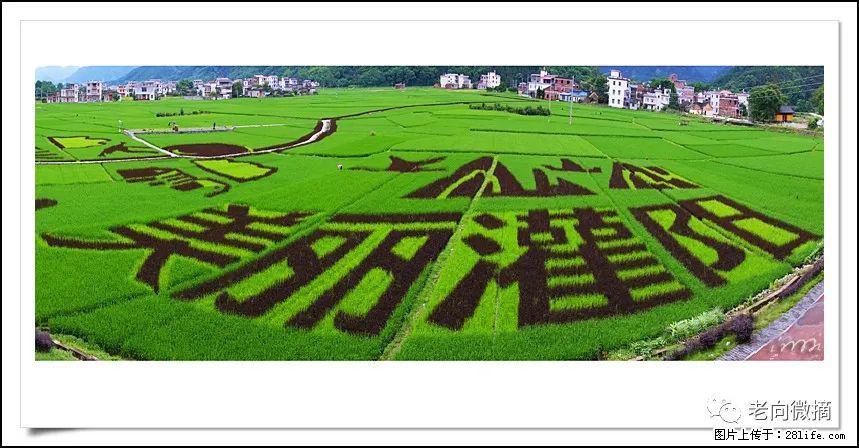 【春天，广西桂林灌阳县向您发出邀请！】开篇 - 游山玩水 - 厦门生活社区 - 厦门28生活网 xm.28life.com