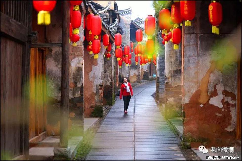 【春天，广西桂林灌阳县向您发出邀请！】江口老街又逢春 - 游山玩水 - 厦门生活社区 - 厦门28生活网 xm.28life.com