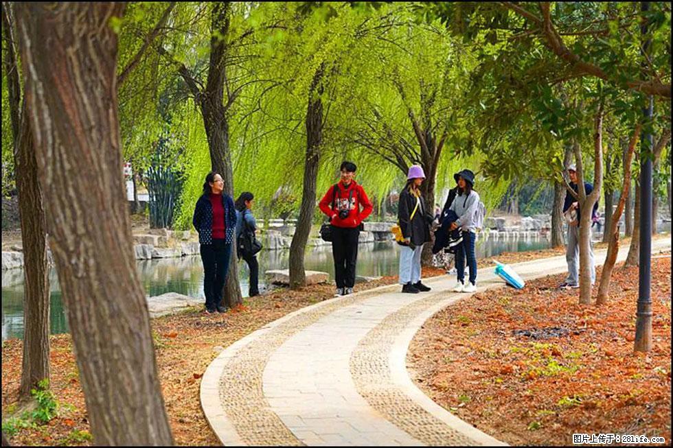 【春天，广西桂林灌阳县向您发出邀请！】江口老街又逢春 - 游山玩水 - 厦门生活社区 - 厦门28生活网 xm.28life.com