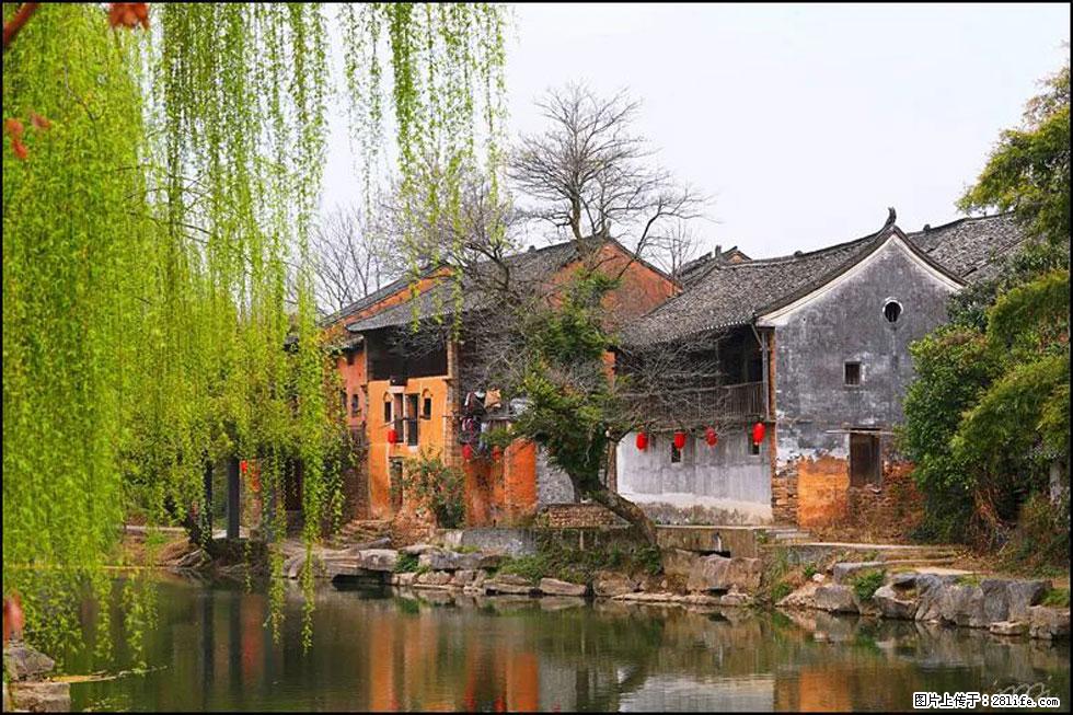 【春天，广西桂林灌阳县向您发出邀请！】江口老街又逢春 - 游山玩水 - 厦门生活社区 - 厦门28生活网 xm.28life.com