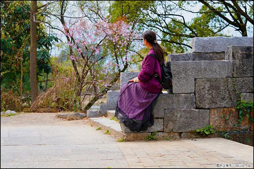 【春天，广西桂林灌阳县向您发出邀请！】江口老街又逢春 - 游山玩水 - 厦门生活社区 - 厦门28生活网 xm.28life.com