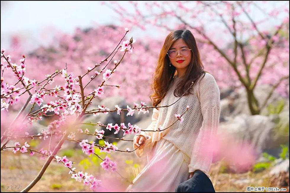 【春天,广西桂林灌阳县向您发出邀请!】望月岭上桃花开 - 游山玩水 - 厦门生活社区 - 厦门28生活网 xm.28life.com