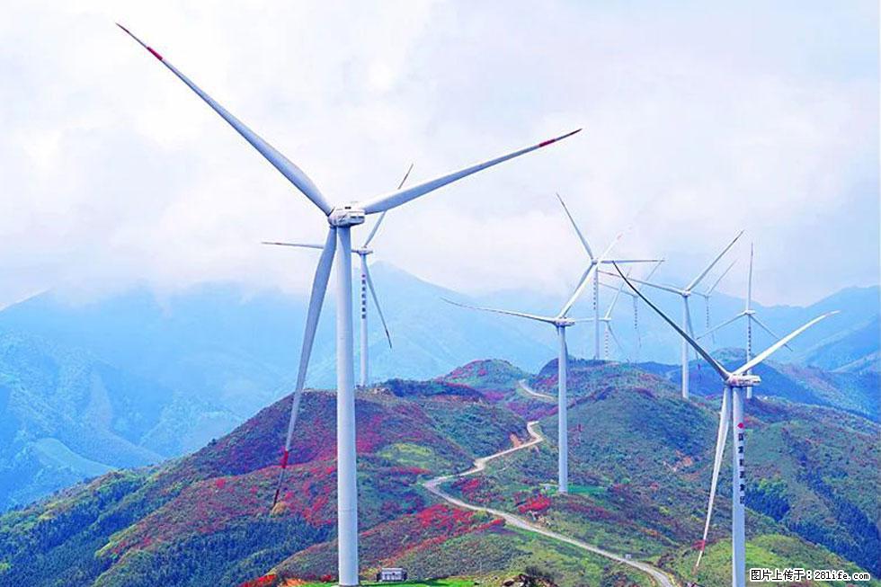 【春天,广西桂林灌阳县向您发出邀请!】春木界上映山红 - 游山玩水 - 厦门生活社区 - 厦门28生活网 xm.28life.com