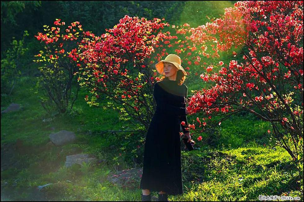 【春天,广西桂林灌阳县向您发出邀请!】春木界上映山红 - 游山玩水 - 厦门生活社区 - 厦门28生活网 xm.28life.com