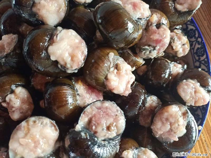 (舌尖上的乡村)灌阳:让人口齿留香的田螺酿 - 2023年07月31日 桂林日报第6版刊发 - 美食天地 - 厦门生活社区 - 厦门28生活网 xm.28life.com