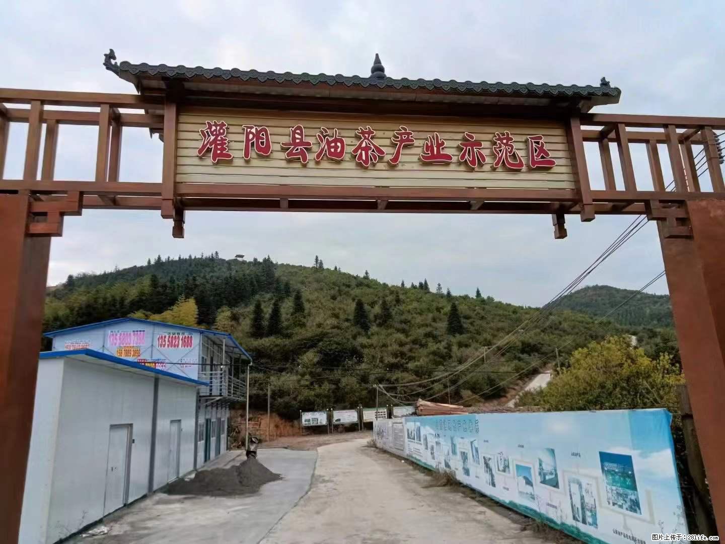 【灌阳县油茶产业示范区】一个有着充实的精神生活的人,对待身外之物自会有一种淡泊的态度 - 美食天地 - 厦门生活社区 - 厦门28生活网 xm.28life.com