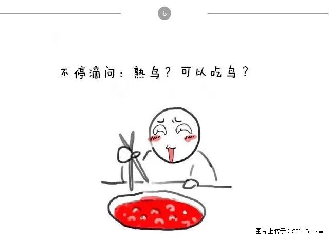 千万不要和这9种哈卵一起吃火锅！ - 美食天地 - 厦门生活社区 - 厦门28生活网 xm.28life.com