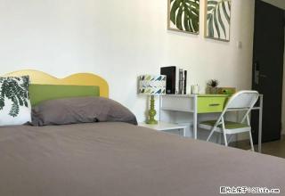 1500起，大型商圈附近，精装修付一押一免中介，配套齐全 - 厦门28生活网 xm.28life.com