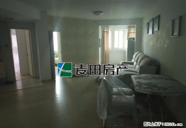 莲花中学 旁电梯中层 精品装修 房屋急租 采光良品 - 房屋出租 - 房屋租售 - 厦门分类信息 - 厦门28生活网 xm.28life.com