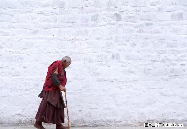 万达实图拍摄,精装公寓拎包入住2200每月 - 房屋出租 - 房屋租售 - 厦门分类信息 - 厦门28生活网 xm.28life.com