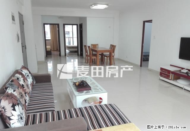 大降价 国贸阳光 135 全明 3.5房 拎包入住 - 房屋出租 - 房屋租售 - 厦门分类信息 - 厦门28生活网 xm.28life.com