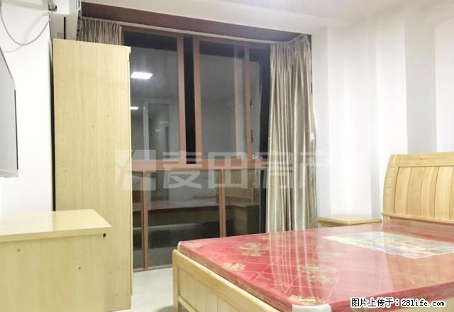 五缘湾 全新装修 国际外滩1房 家电齐全直接入住租金1600 - 房屋出租 - 房屋租售 - 厦门分类信息 - 厦门28生活网 xm.28life.com