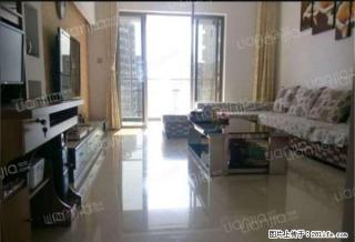 天御 精装大三房 拎包入住 精装！价格真实在 房东急租！！ - 厦门28生活网 xm.28life.com