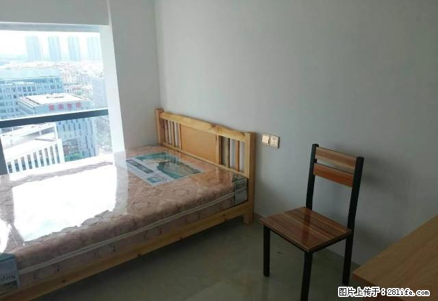 护理高新技术园精装俩房一厅，家具齐全，采光极好 - 房屋出租 - 房屋租售 - 厦门分类信息 - 厦门28生活网 xm.28life.com