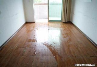 松柏区 宝龙 办公出租 2房 看房方便 停车便利 - 厦门28生活网 xm.28life.com