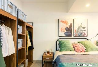 狂降600，付一押一免中介，精装公寓，安全系数高，实图 - 厦门28生活网 xm.28life.com