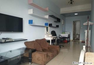 江头福隆国际 时尚 温馨 1室 朝东南1室 - 厦门28生活网 xm.28life.com