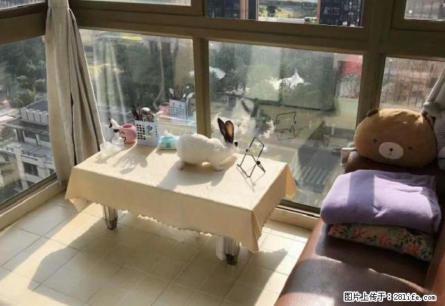 高峰会 二市 中山医院 禾祥西路 湖滨南路 朝南 高层电梯 - 房屋出租 - 房屋租售 - 厦门分类信息 - 厦门28生活网 xm.28life.com