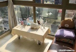 高峰会 二市 中山医院 禾祥西路 湖滨南路 朝南 高层电梯 - 厦门28生活网 xm.28life.com