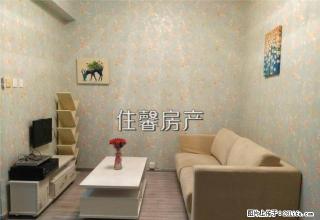 假日商城 假日花园正规1室1厅带厨卫阳台 新装出租 - 厦门28生活网 xm.28life.com