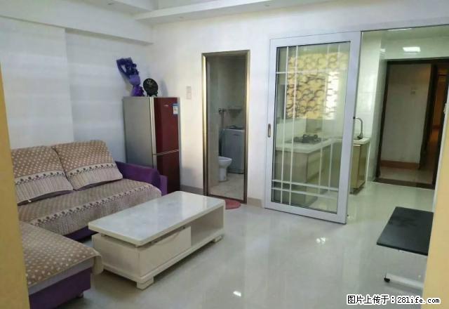 松柏sm 音乐家 精装1+1房 高调奢华 坐看整个松柏 抢手 - 房屋出租 - 房屋租售 - 厦门分类信息 - 厦门28生活网 xm.28life.com