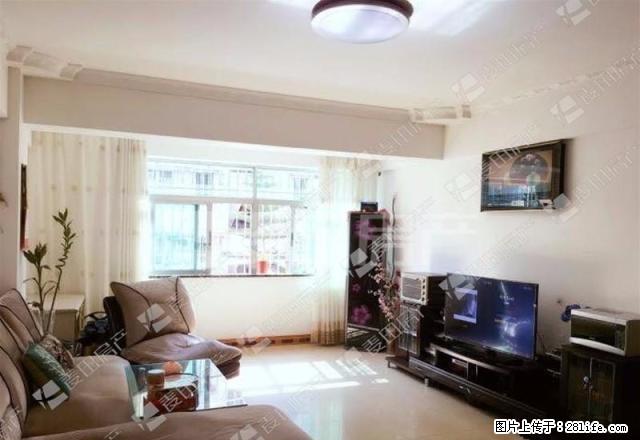 电梯三房自住装修 可拎包入住 南北通透 南湖公园旁 南湖花园 - 房屋出租 - 房屋租售 - 厦门分类信息 - 厦门28生活网 xm.28life.com