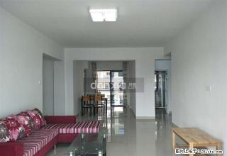 江头 新景华府国际 精装大3房 租满一年免中介费 再送30天 - 厦门28生活网 xm.28life.com