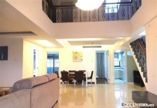 S.M附近 大.唐世家 精装 南北向 三中旁 塘边地贴楼中 - 厦门28生活网 xm.28life.com