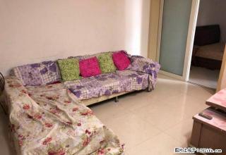 中祥大厦 一房一厅 朝南户 毗邻火车站商圈与莲坂商圈 - 厦门28生活网 xm.28life.com