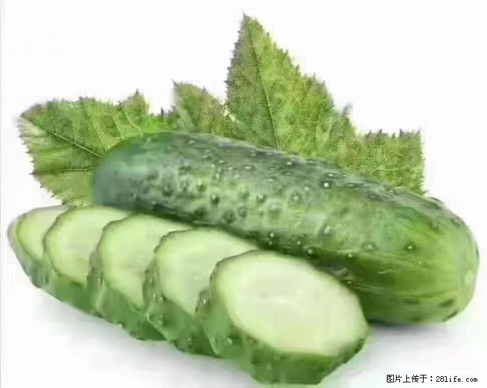 【生活小常识】吃黄瓜的好处 - 生活百科 - 厦门生活社区 - 厦门28生活网 xm.28life.com