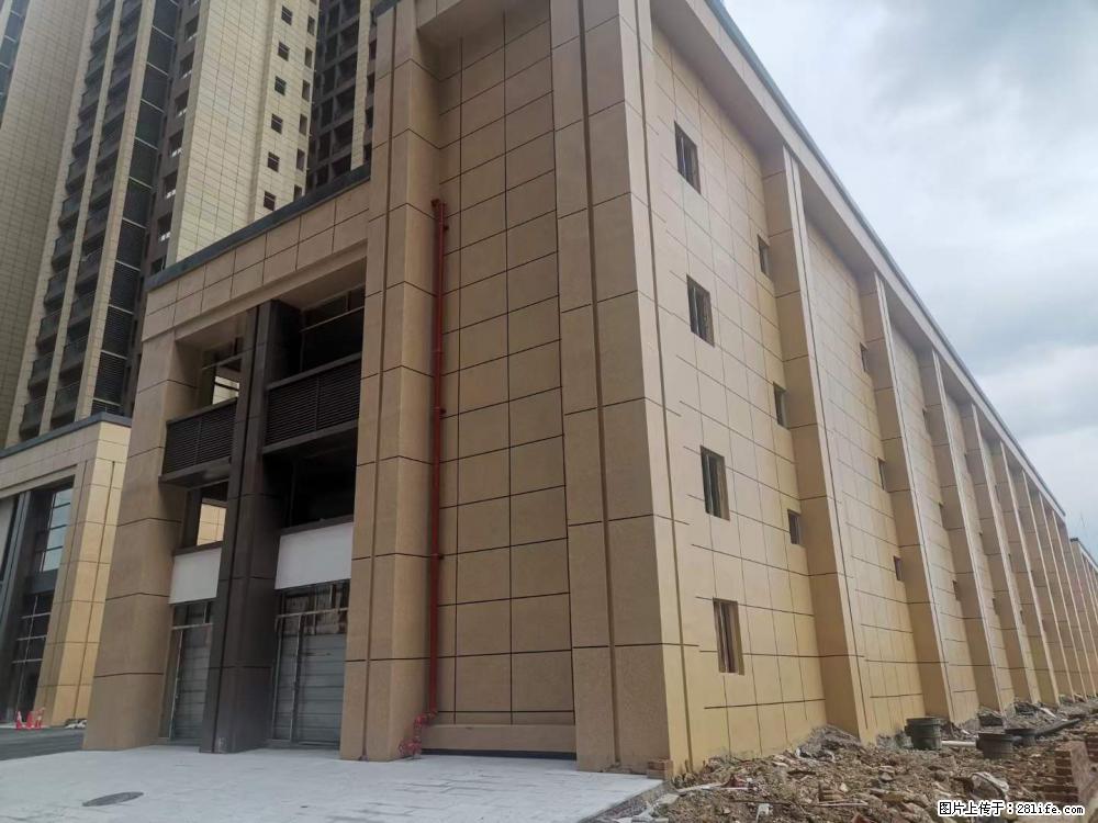 【广西三象建筑安装工程有限公司】外墙涂料工程 - 新手上路 - 厦门生活社区 - 厦门28生活网 xm.28life.com