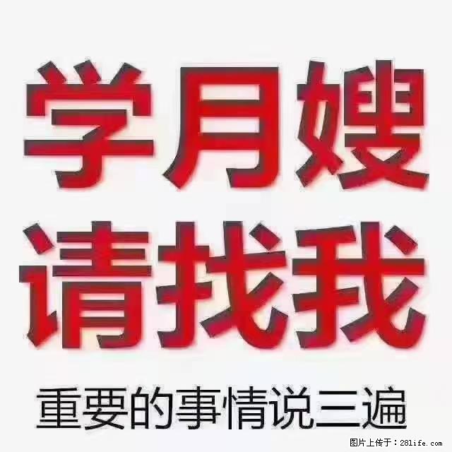【招聘】月嫂,上海徐汇区 - 职场交流 - 厦门生活社区 - 厦门28生活网 xm.28life.com