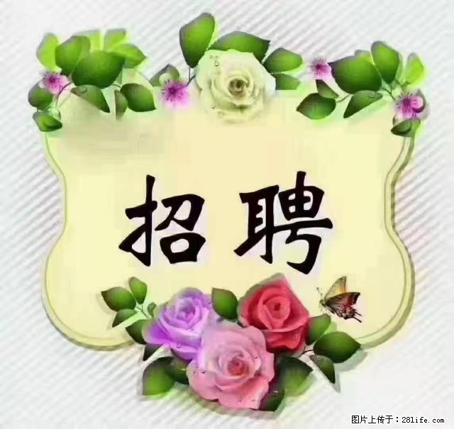 【招聘】住家育儿嫂,上户日期:4月4日,工作地址:上海 黄浦区 - 职场交流 - 厦门生活社区 - 厦门28生活网 xm.28life.com