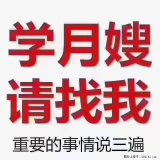 【招聘】月嫂，上海徐汇区 - 厦门28生活网 xm.28life.com