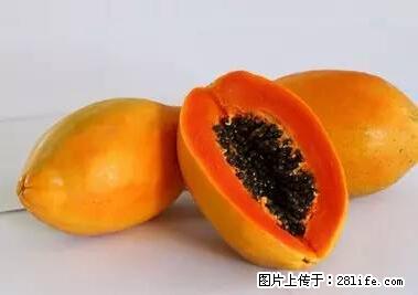 晕车、脚气、牙齿变黄、皮肤粗糙？学会这些三分钟搞定！ - 厦门生活资讯 - 厦门28生活网 xm.28life.com