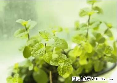 晕车、脚气、牙齿变黄、皮肤粗糙？学会这些三分钟搞定！ - 厦门生活资讯 - 厦门28生活网 xm.28life.com