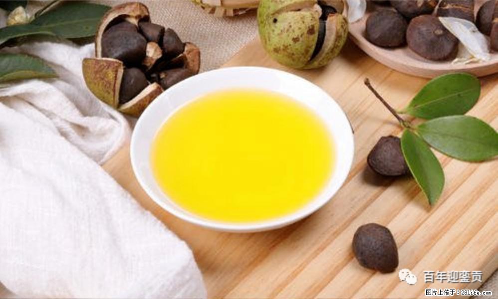 揭秘茶油的5大核心营养成分！被称为人体健康的“守护盾”！ - 厦门生活资讯 - 厦门28生活网 xm.28life.com