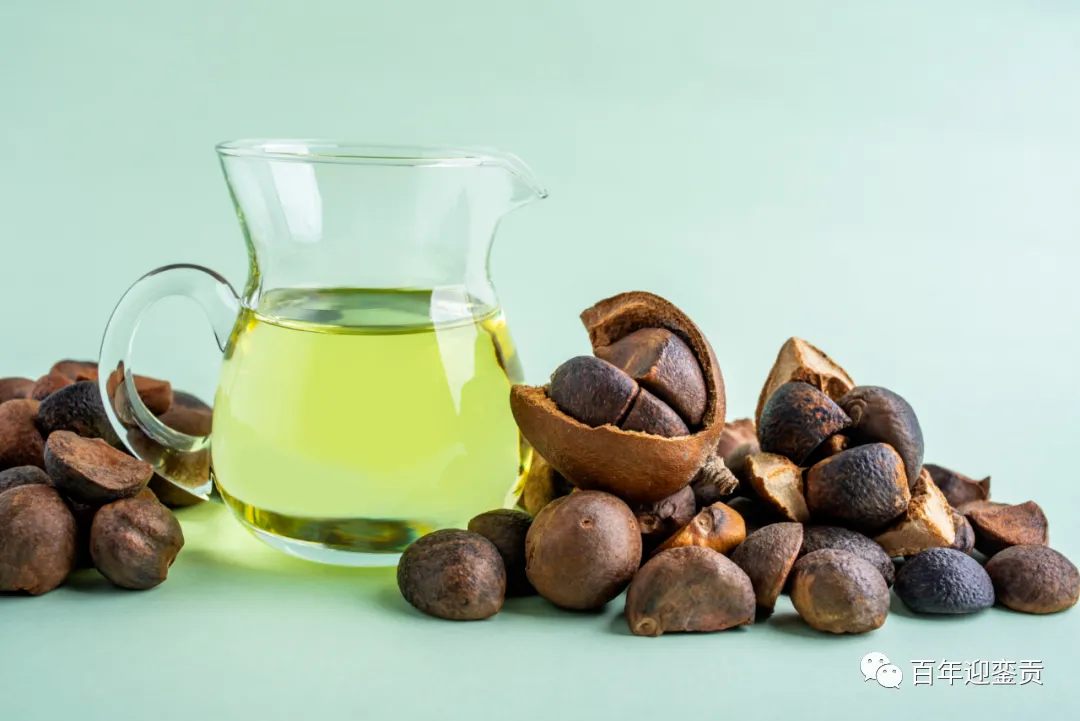 世界没有真相，只有认知，最好的食用油是中国的山茶油！ - 厦门生活资讯 - 厦门28生活网 xm.28life.com