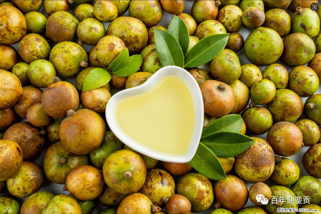 世界没有真相，只有认知，最好的食用油是中国的山茶油！ - 厦门生活资讯 - 厦门28生活网 xm.28life.com