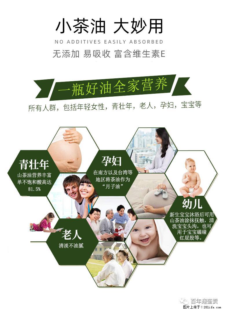 世界没有真相，只有认知，最好的食用油是中国的山茶油！ - 厦门生活资讯 - 厦门28生活网 xm.28life.com