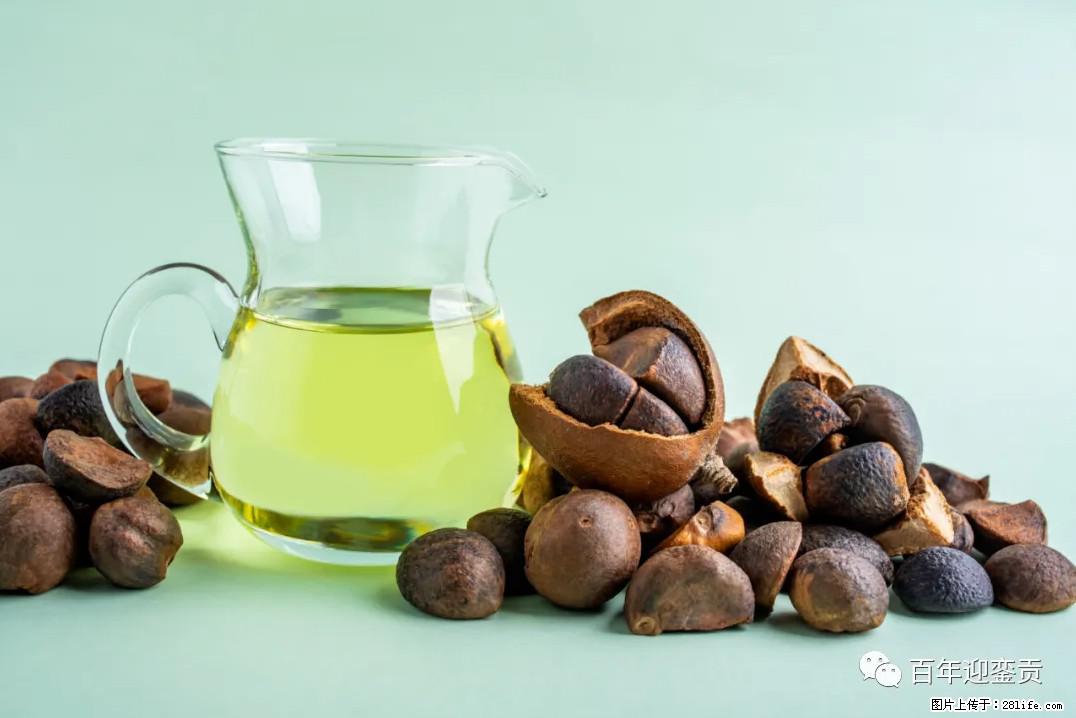 世界没有真相，只有认知，最好的食用油是中国的山茶油！ - 厦门生活资讯 - 厦门28生活网 xm.28life.com