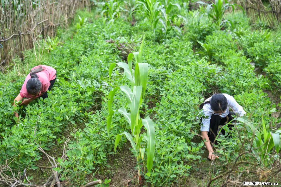 全网追的“扁担女孩”，找了一份暑假工，时薪12元 - 厦门生活资讯 - 厦门28生活网 xm.28life.com