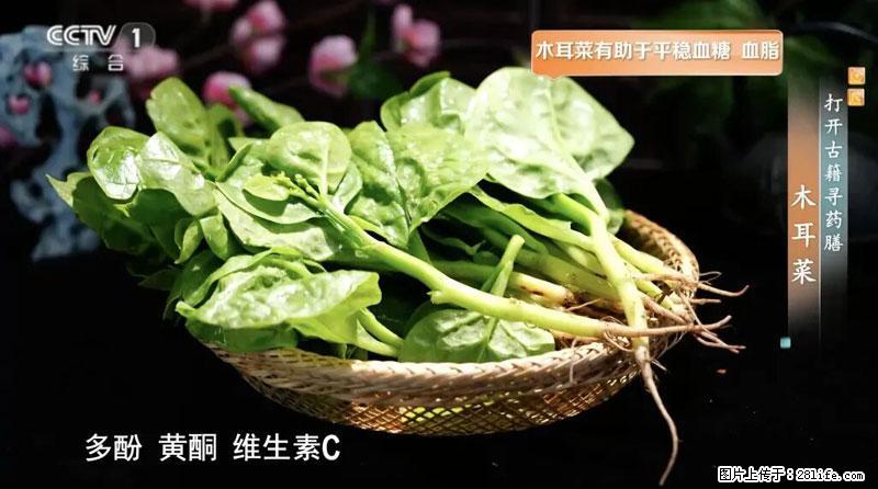 比牛奶补钙还厉害!凉血解毒、稳血糖...这菜冬天必吃,很多人却当草 - 厦门生活资讯 - 厦门28生活网 xm.28life.com