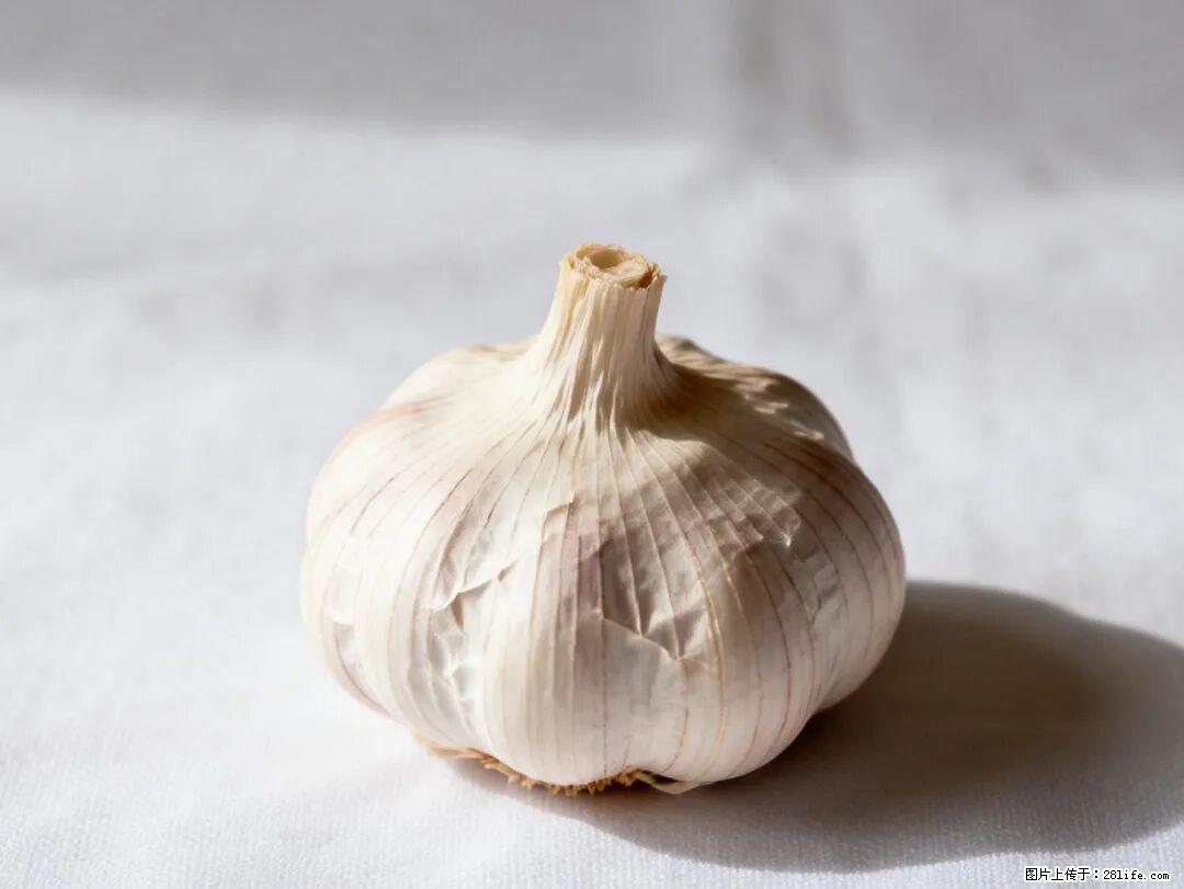 关于大蒜,除了“天然抗生素”,这4个谣言更该警惕! - 厦门生活资讯 - 厦门28生活网 xm.28life.com