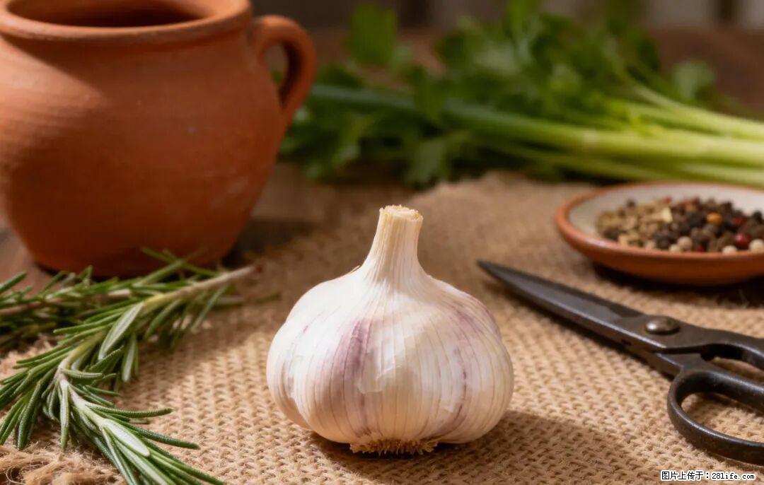 关于大蒜,除了“天然抗生素”,这4个谣言更该警惕! - 厦门生活资讯 - 厦门28生活网 xm.28life.com