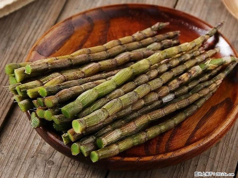 铁皮石斛的作用与功能主治 - 厦门生活资讯 - 厦门28生活网 xm.28life.com