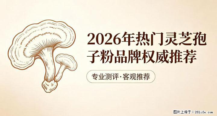 灵芝孢子粉含量越高越有效？2026 年七款热门品牌深度实测，肠胃敏感者避坑指南 - 厦门生活资讯 - 厦门28生活网 xm.28life.com